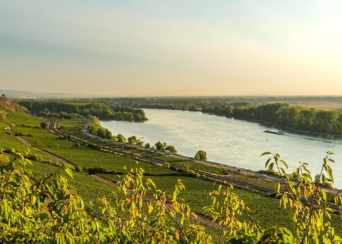Apartament Marktplatz